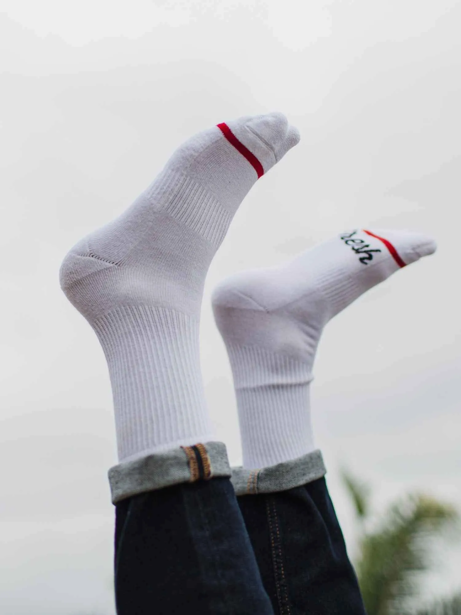 All White 12-Pack Crew Socks